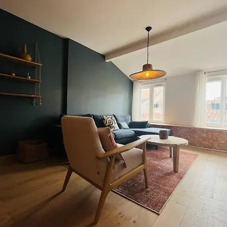 Apartmán Le Toit Des Merciers - Hypercentre Wifi